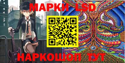гидра Кандалакша