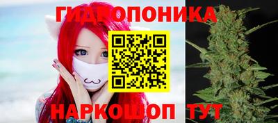 гидра Кандалакша